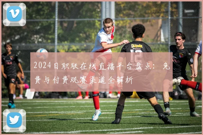 2024日职联在线直播平台盘点：免费与付费观赛渠道全解析