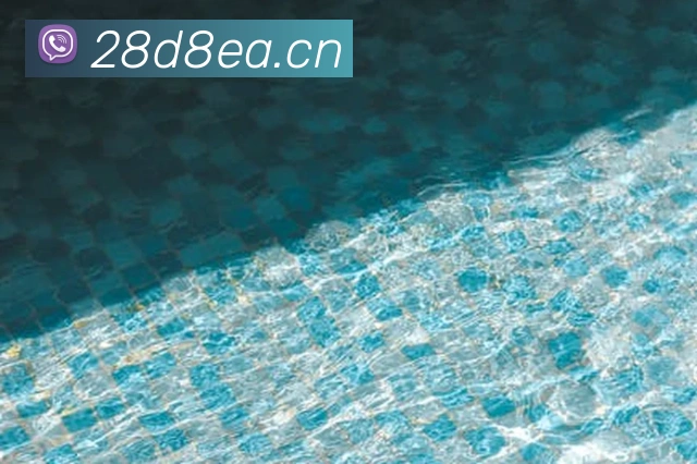 星空入口网页版登录发展历程